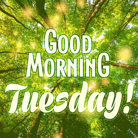 With Tenor, maker of GIF Keyboard, add popular Funny Morning Coffee Images animated GIFs to your conversations. . Good morning tuesday gif images